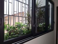 Henry Park (D10), Terrace #535350321